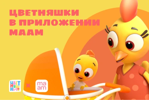 «Цветняшки» в приложении MAAM 